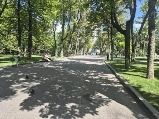 Літо в Харкові: п’ять локацій для останніх серпневих вечорів