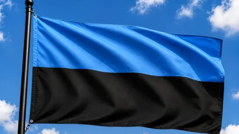 У Луцьку з'явиться блакитно-чорний стяг «Між небом та землею»