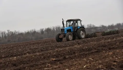 Осінь на полях: Україна почала сіяти озимі зернові